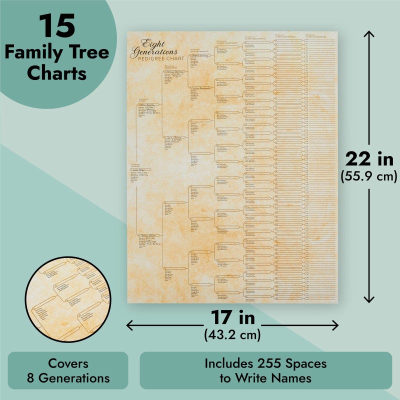 Okuna Outpost Family Tree Charts to Fill in - 8 Generation Genealogy Charts with 255 Name Spaces - Blank Family Tree Posters on Poster Paper for Framing - Pack of 15, 17 x 22 In, Off-White - Image 4